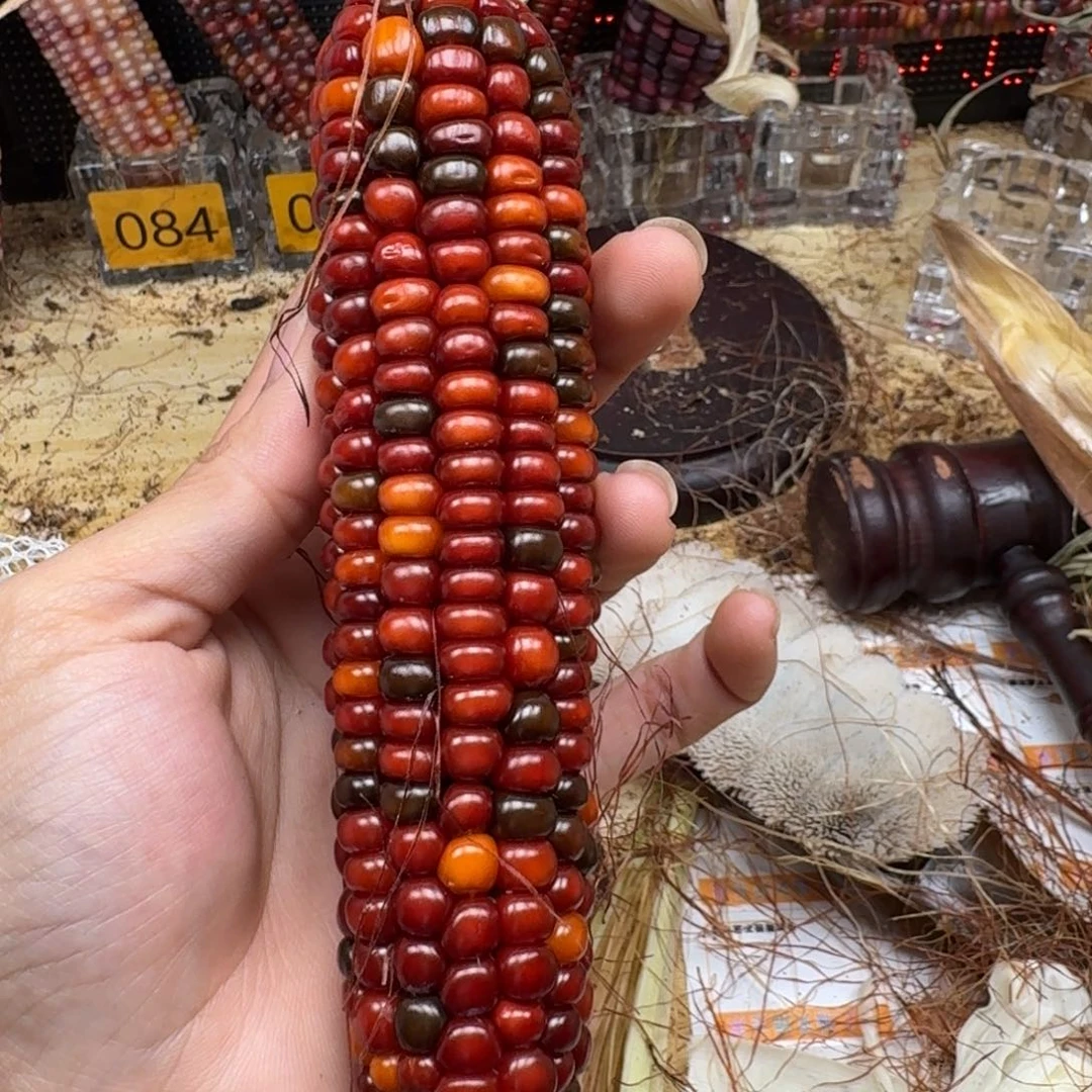 米***夏柏香籽/百香籽吊坠