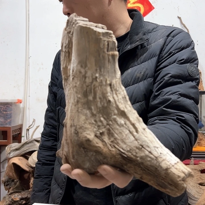 柏木卡**合我们的生活也是如此吧