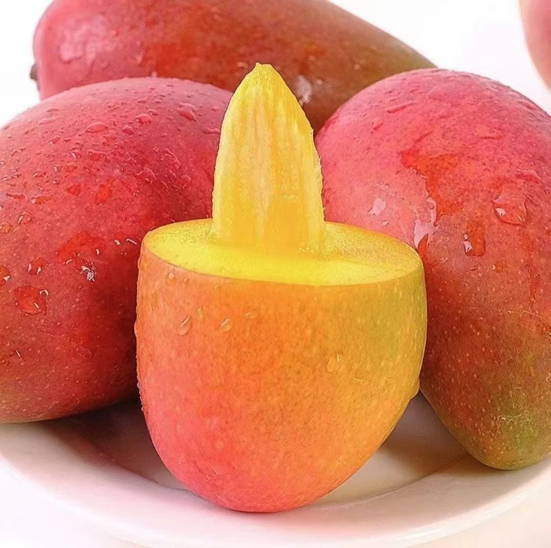 攀枝花精品贵妃芒