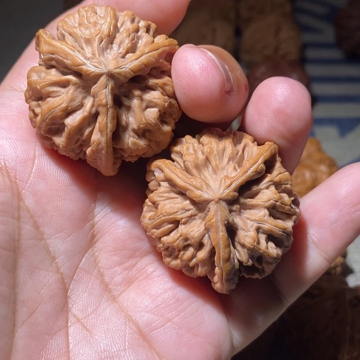 G****文玩核桃把件核桃