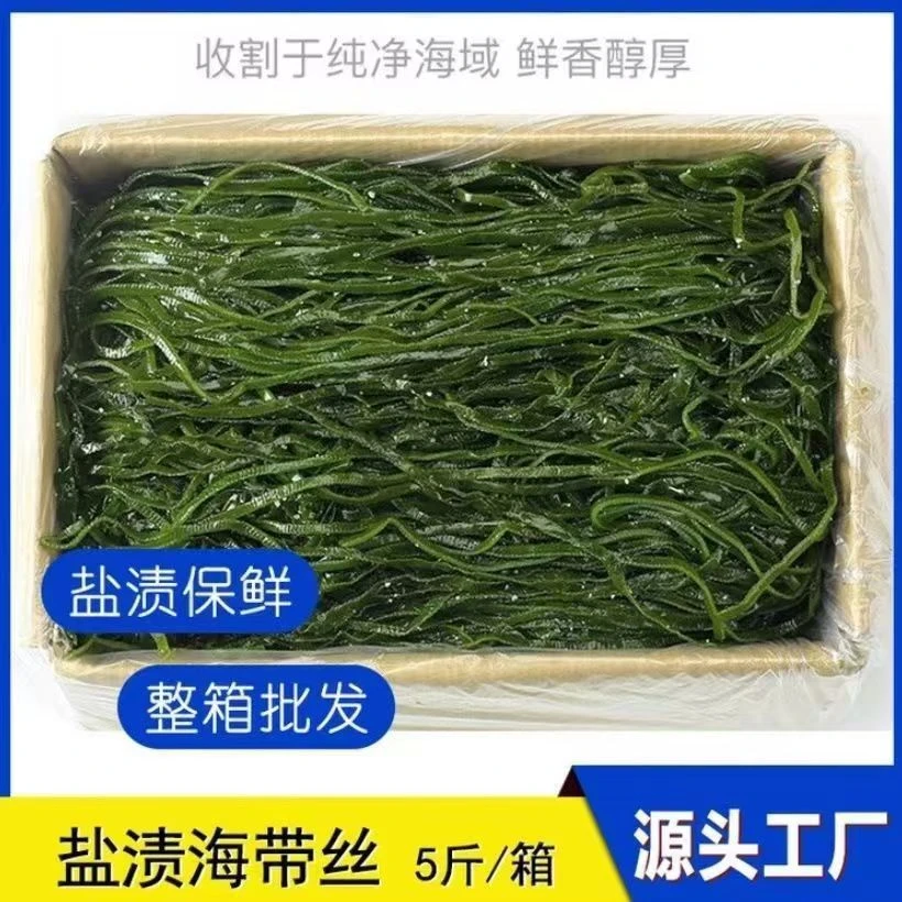 【含箱5斤】头茬新鲜盐渍海带丝