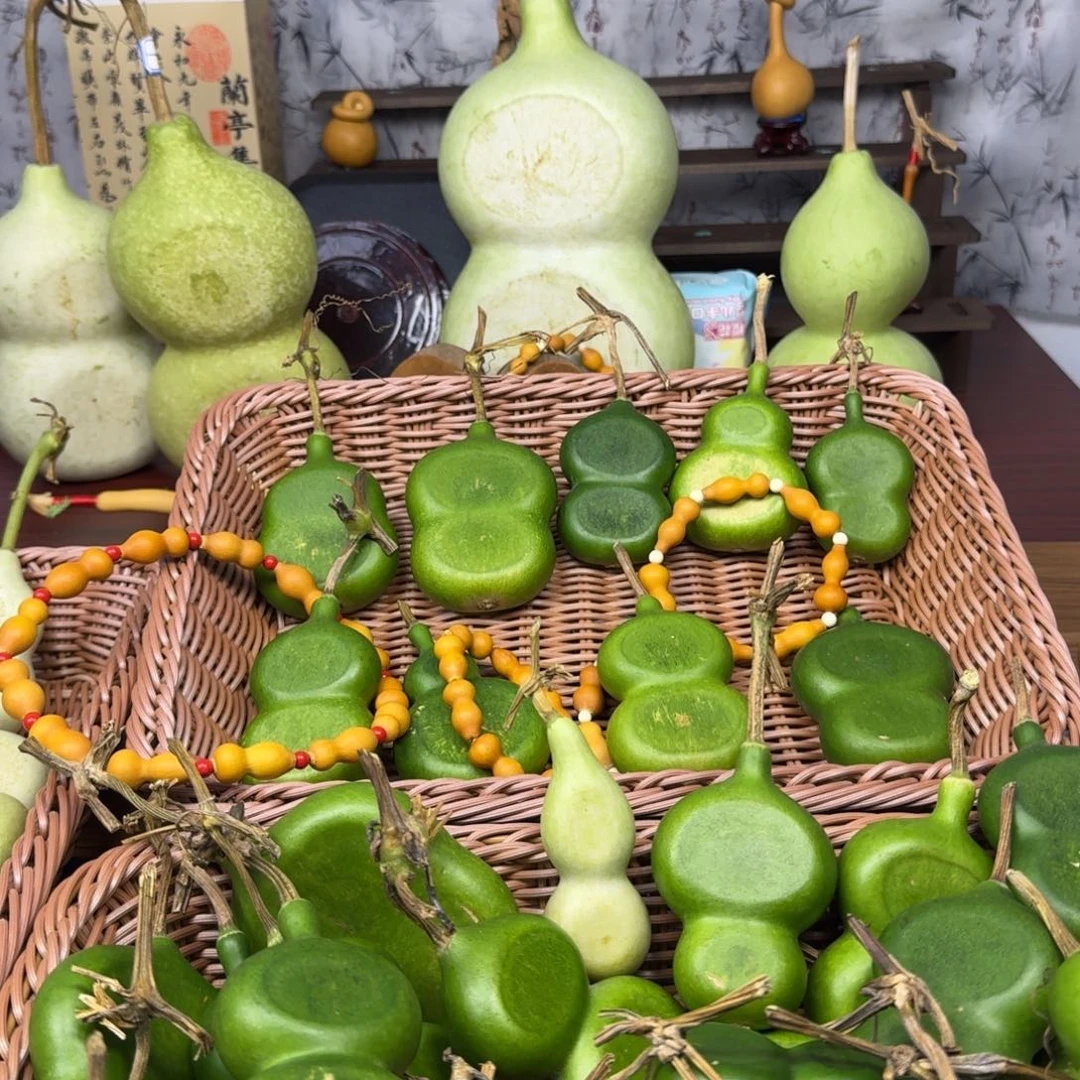 長***楽我我我我我我我我