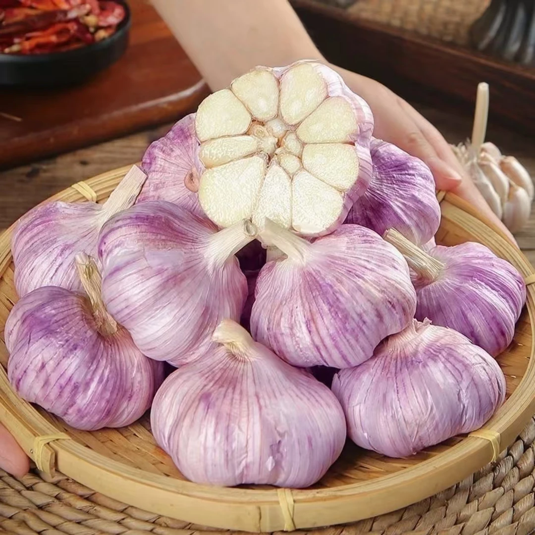 [2025新干蒜]正宗紫白皮大蒜大蒜之乡杞县发货
