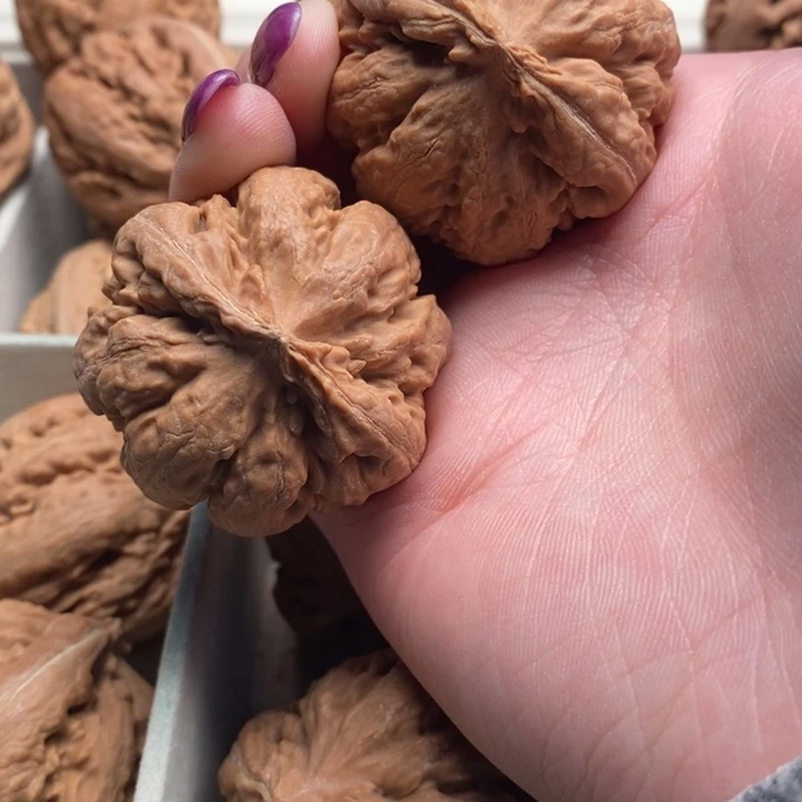 贫***棒手串文玩核桃霸王龙