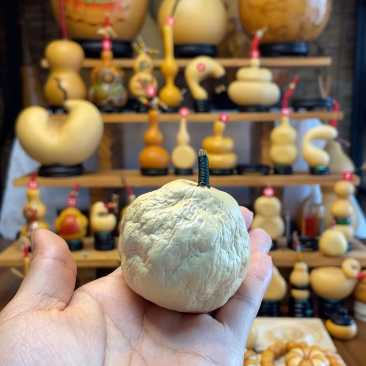 6***6天然葫芦自然生长