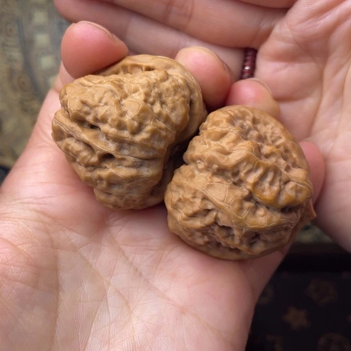 核桃蛤蟆头骨是我喜欢