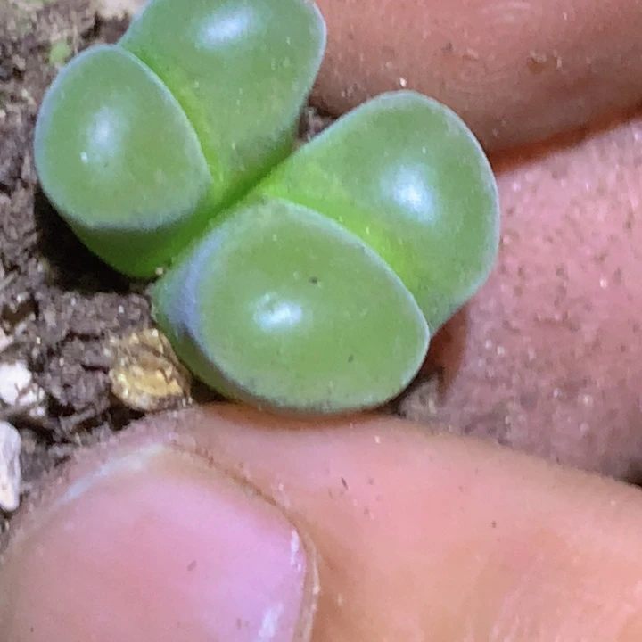 455555555555555555555