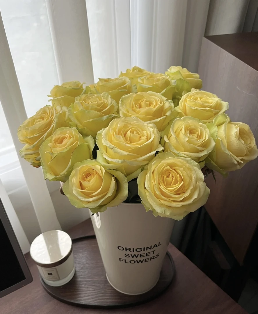 浪漫沙滩玫瑰亮黄色系家居提亮鲜花