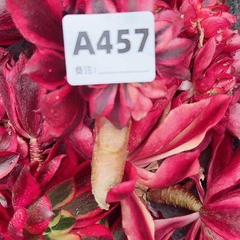 【闪购商品】圆*&457！！！12345678