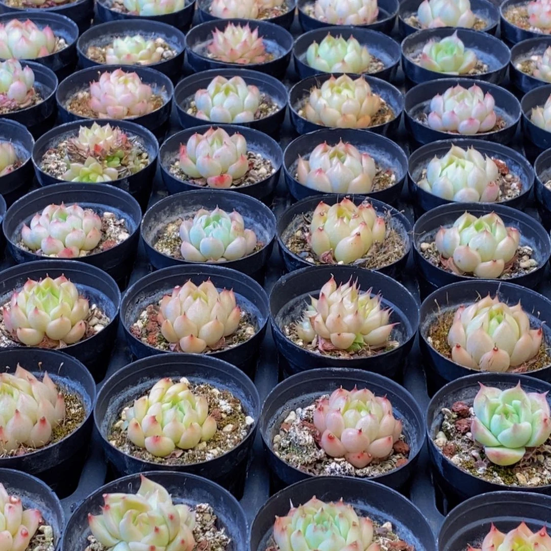 548的人和事都是一样一样滴滴的