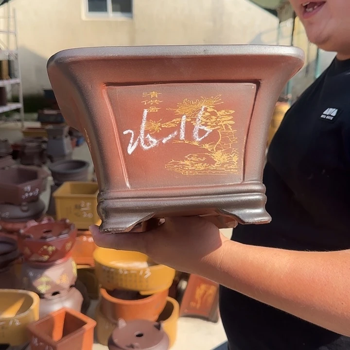 花盆紫砂这是什么