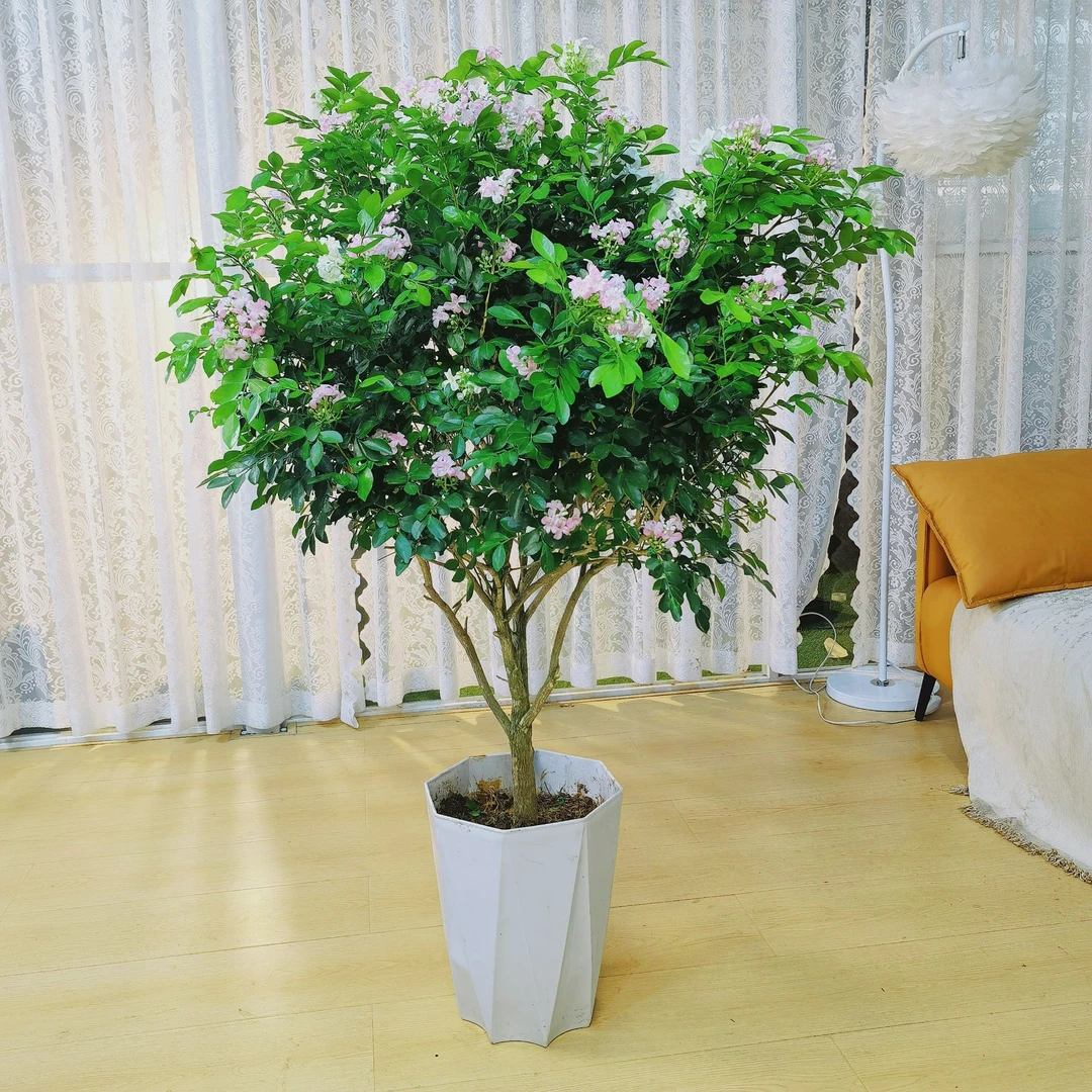 【顺丰送货上门】加大加高1-1.3米九里香棒棒糖大苗绿植少许花苞