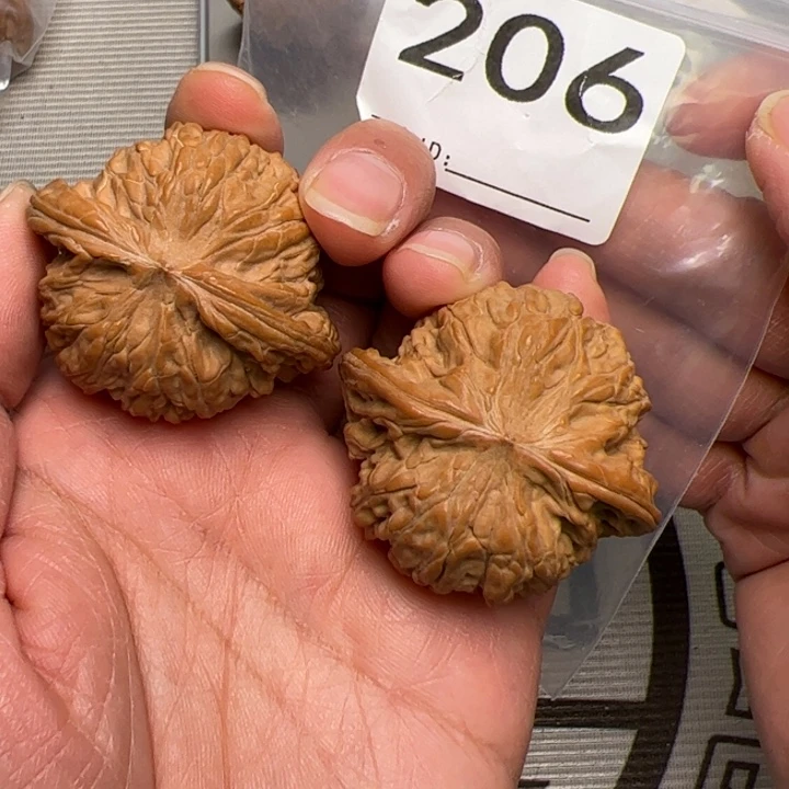 核桃全品正磨206号43尺