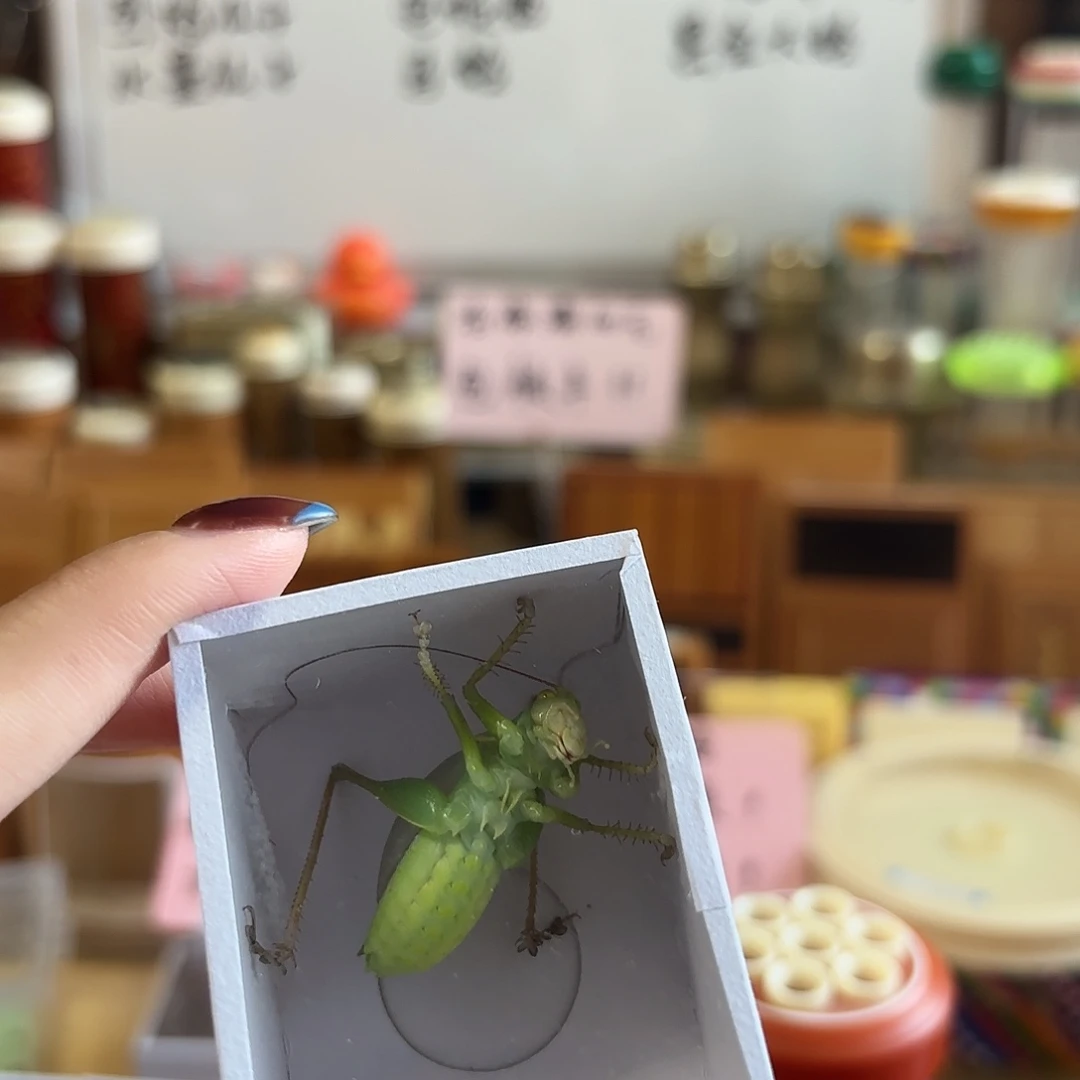 电木扎嘴罐一套扎嘴不包断须尾