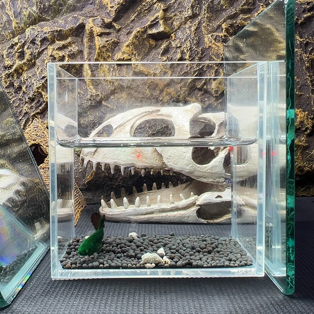 斗鱼精品精品精品精品精品