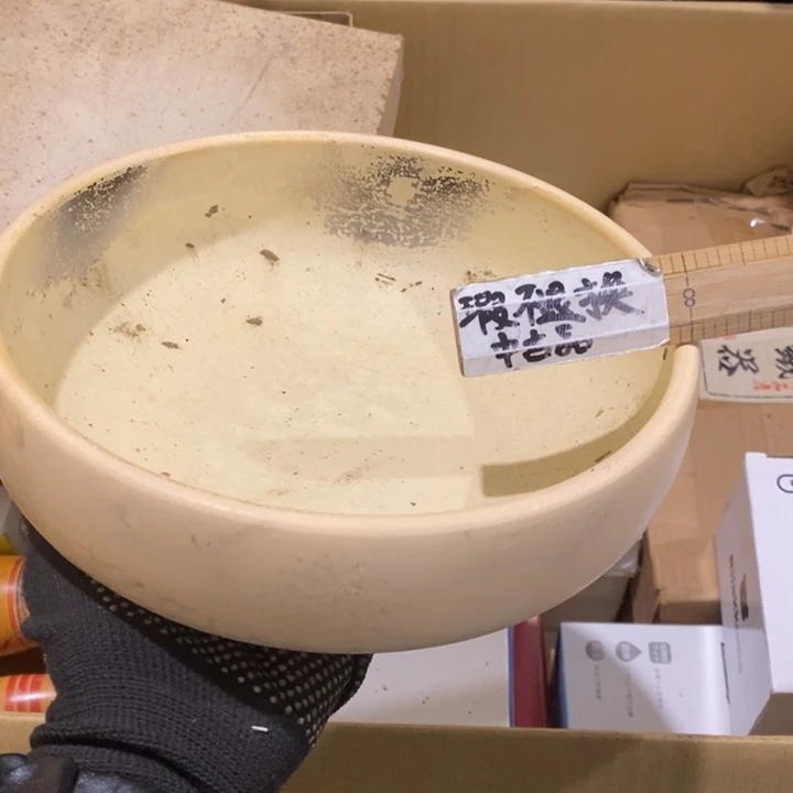 我在等他来呢在在