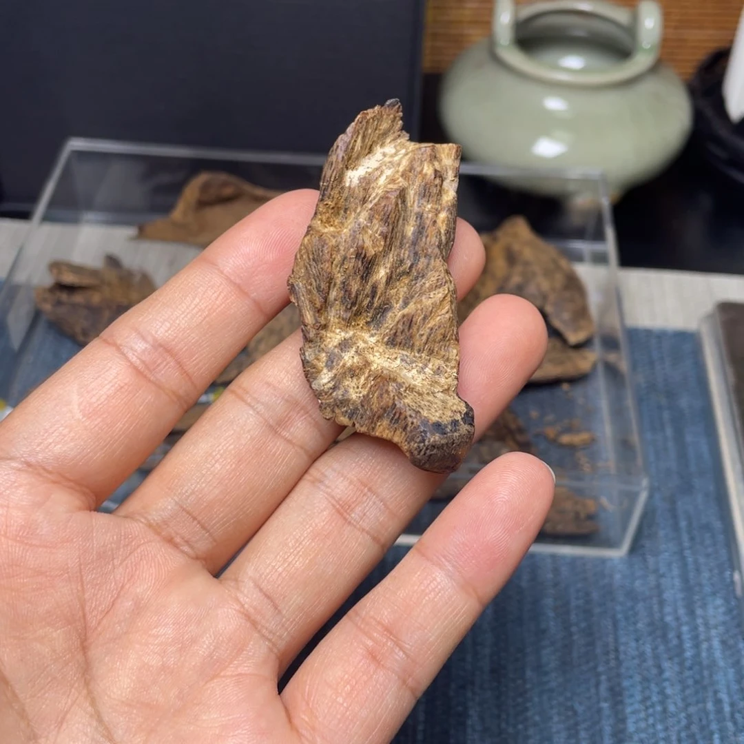 香榧木以**扬海南天然木艺品10克