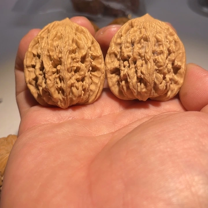 文玩核桃把件粗筋虎头