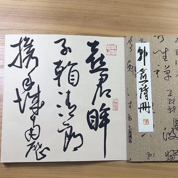 书法中书协会员作品