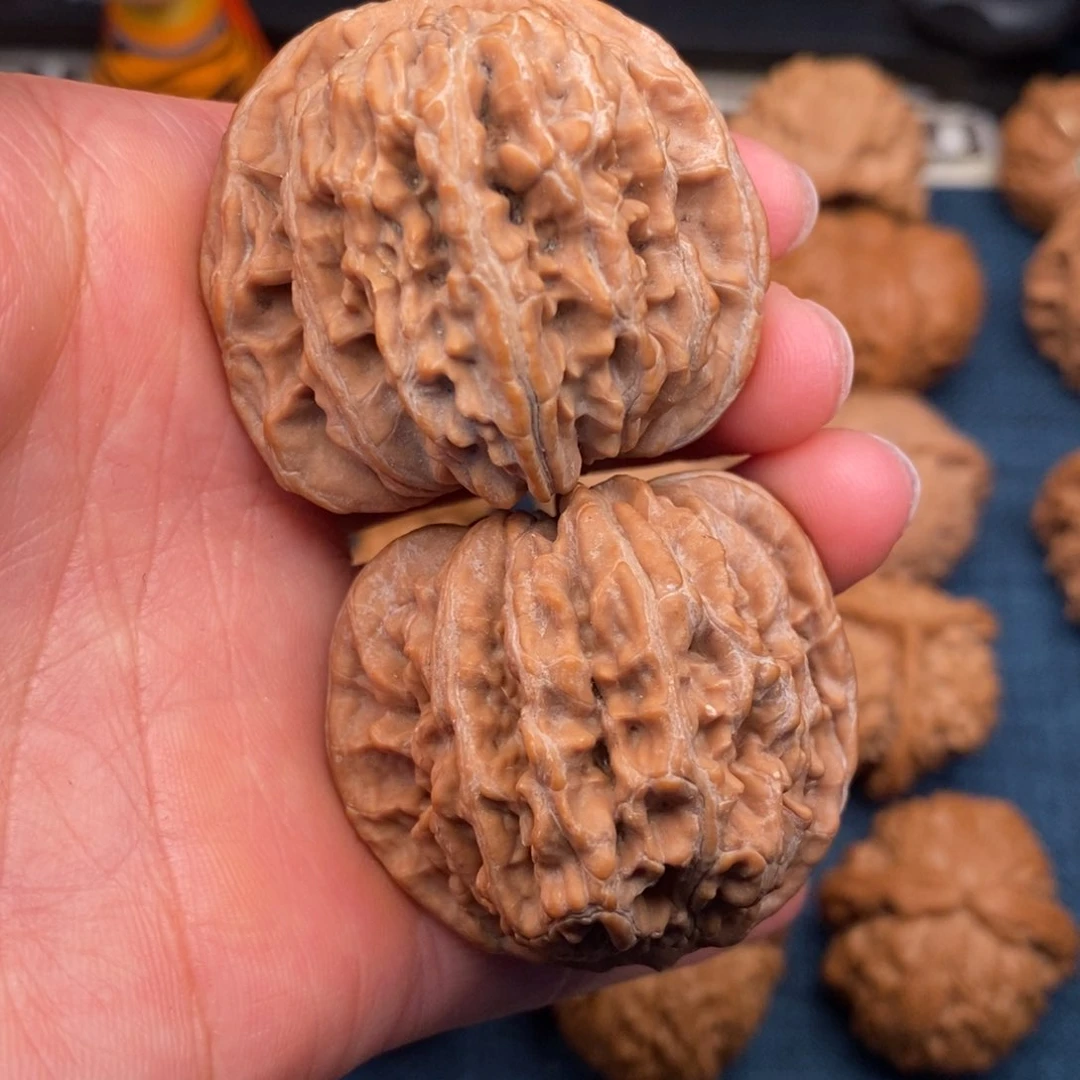 文玩核桃把件42.5全品平谷楼