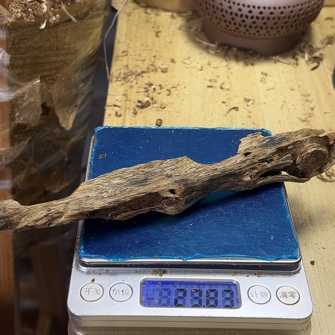 香粉绿奇楠虫漏23克乌身