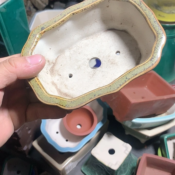 紫砂哈哈真的是太给力太