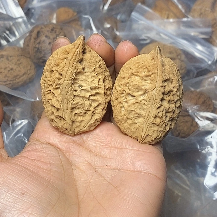 把件文玩核桃云南铁核桃97