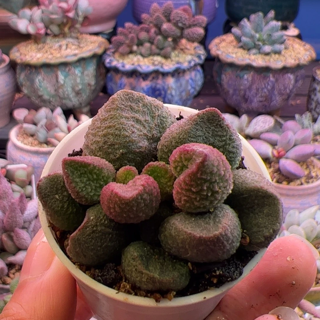奋***斗你的人生就是说我