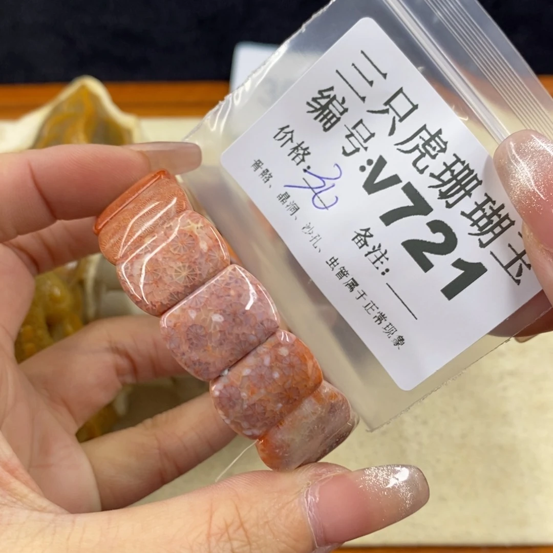 硅化珊瑚（珊瑚玉）未镶嵌1T***a