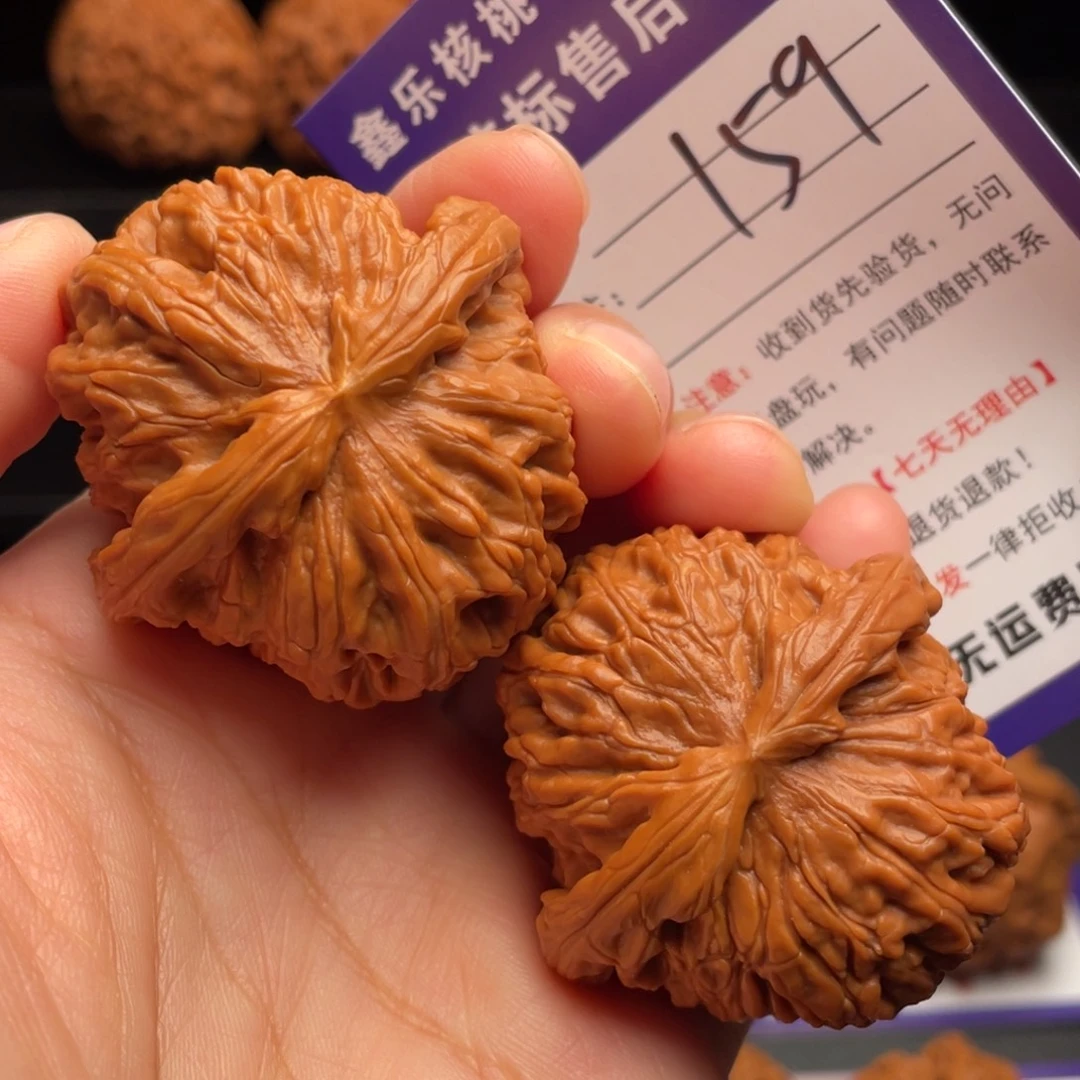 文玩核桃把件白狮子44尺寸