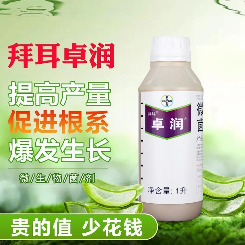 拜耳卓润微生物菌剂解啶粉芽孢杆菌草莓促进生根爆发生长提产量