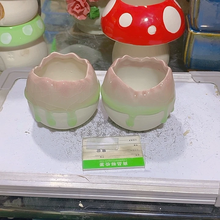 摆件多肉瑕疵盆有孔。