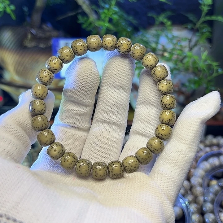 手串星月菩提海南原生态
