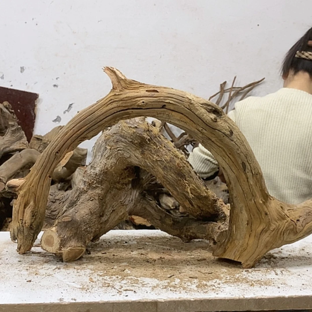 【闪购商品】柏木老*克我们都是好孩子