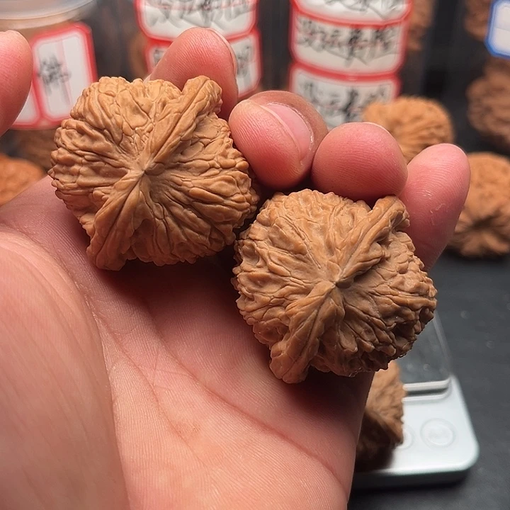 把件文玩核桃白狮子43