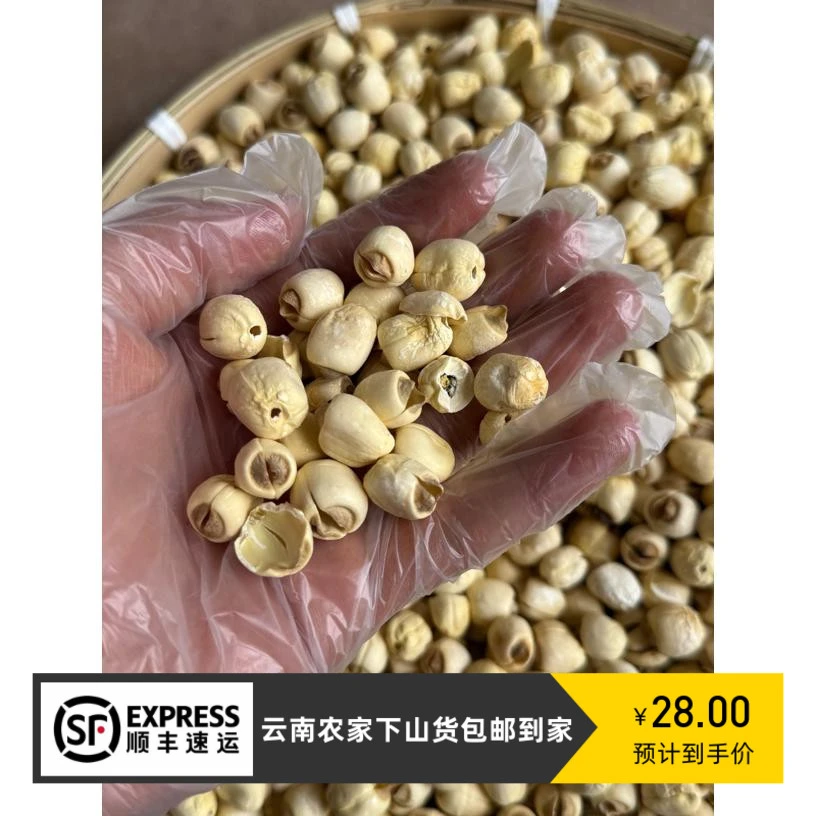 【大个山货】云南农家手工莲子可搭配枸杞