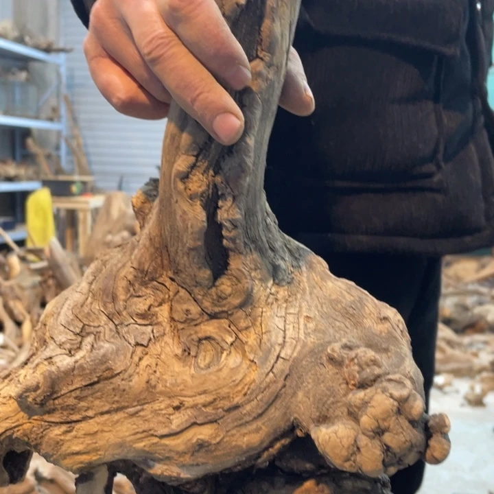 林***坊我们都是好孩子啊