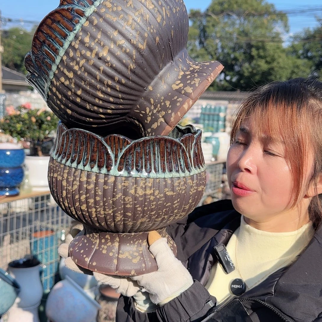王嫂花盆直播1121-374高20口20