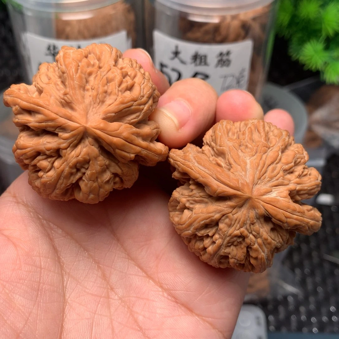 文玩核桃把件45-16297-5