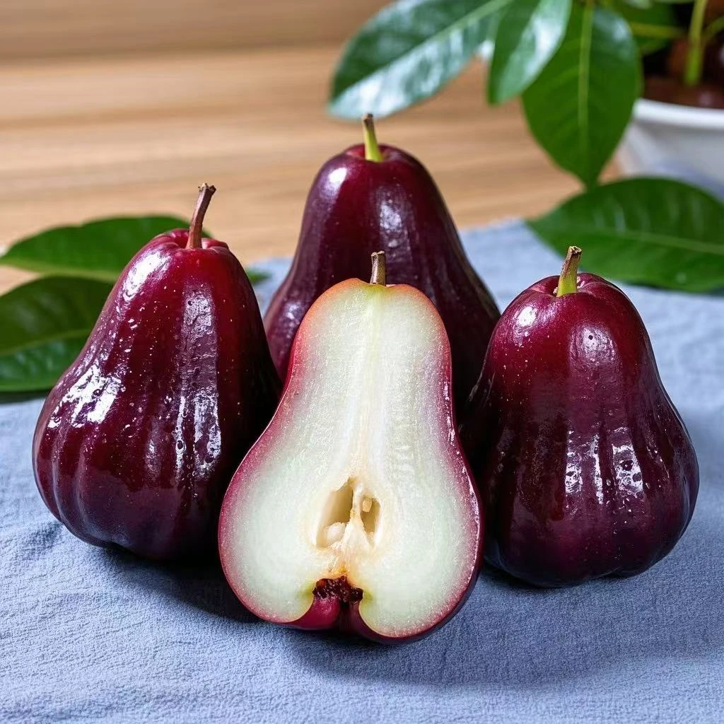 正宗福建黑金刚莲雾新鲜现摘现发顺丰包邮多汁清甜树上熟孕妇整箱