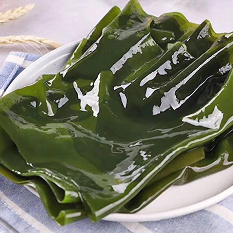 大连 鲜海带 5斤/份