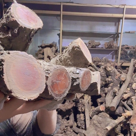 香榧木-*火琉璃的故事是毛料