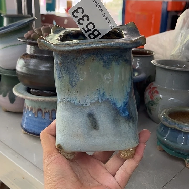 重庆小燕子欢迎大家533