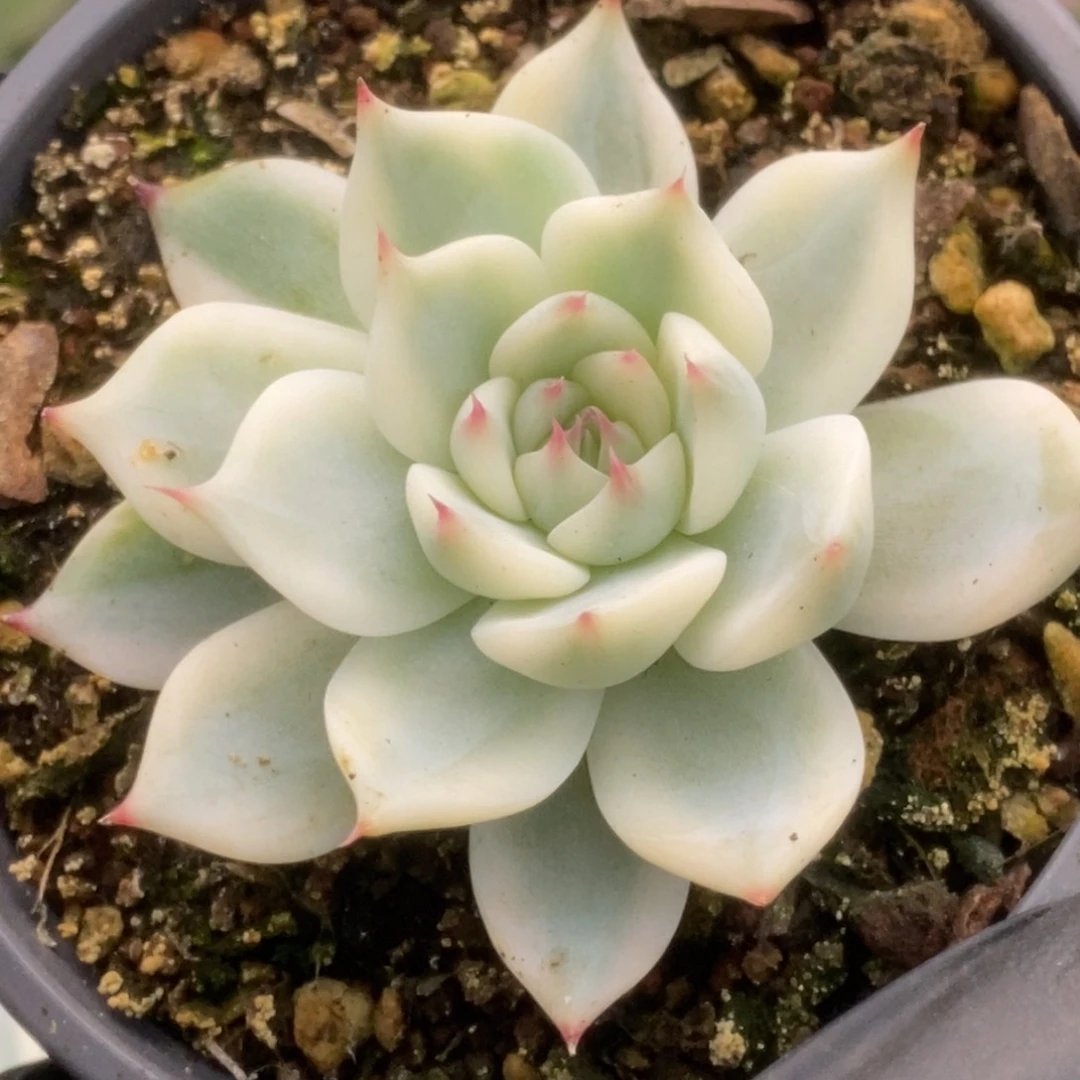 210锦锦锦锦锦锦锦锦