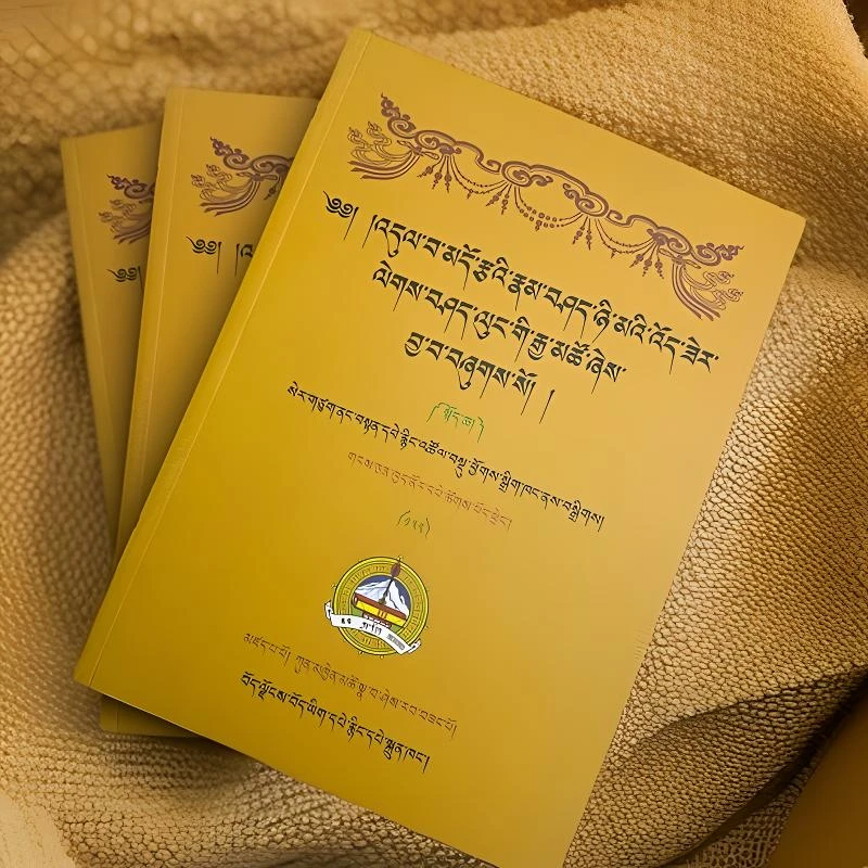 律释西藏-日光书本藏文书（上中下）书籍