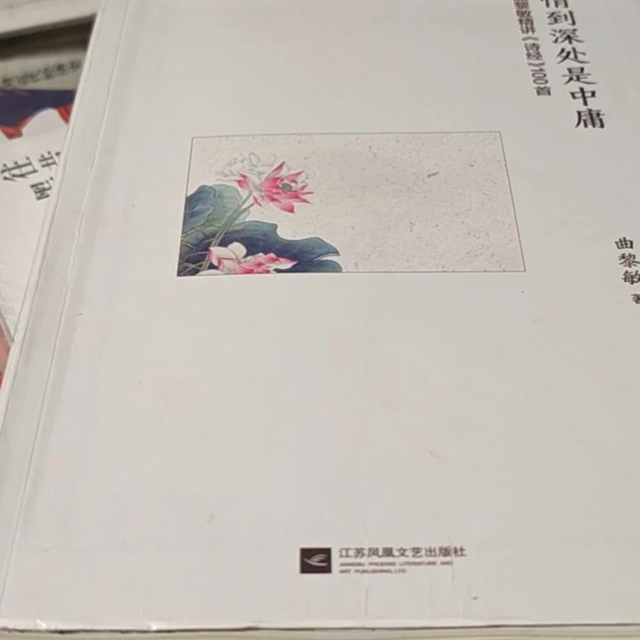 情到深处是中庸（瑕疵介意勿拍）