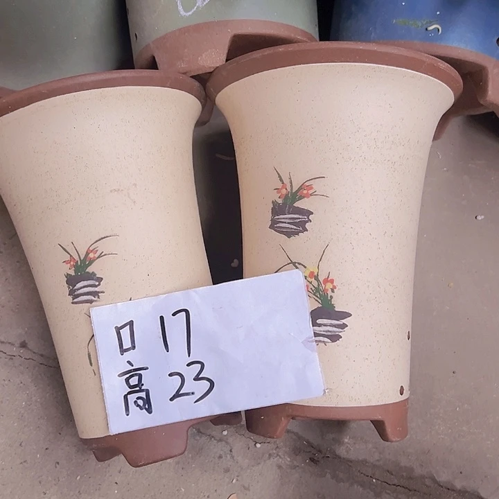 周深周深周深周深周深