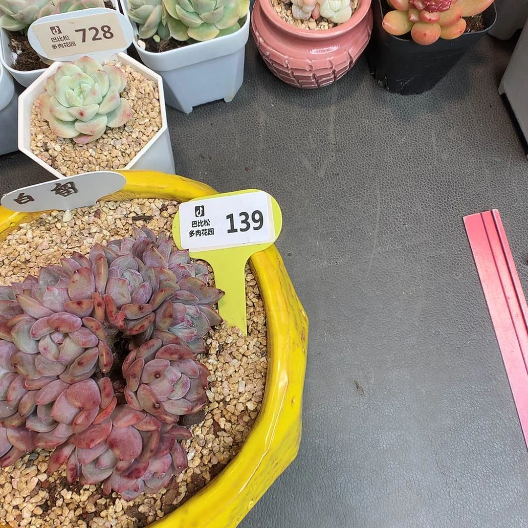 哈****?139 黄色盆盆瑕疵福利拍