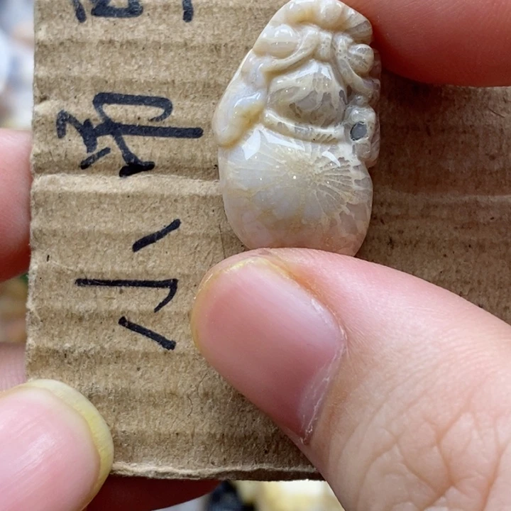 硅化珊瑚（珊瑚玉）颈饰未镶嵌