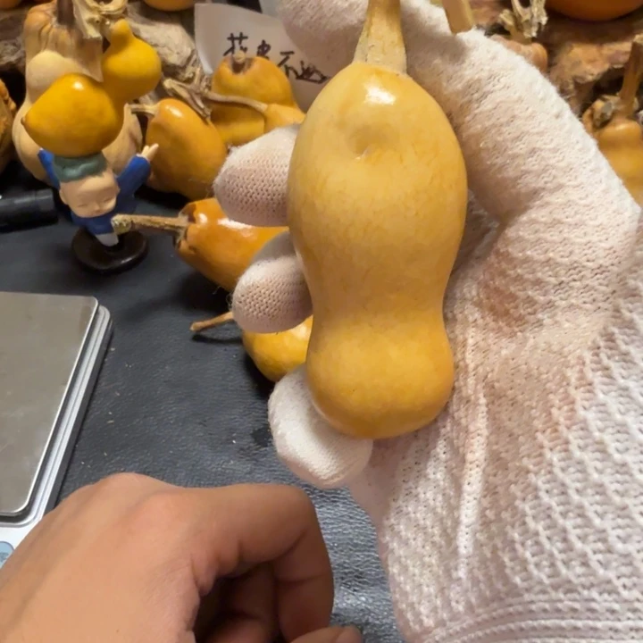 唔***c66……………………………………